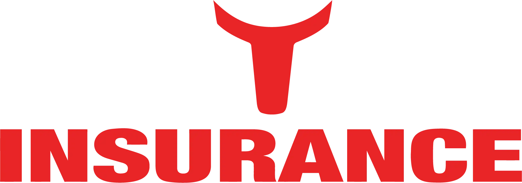 Del Toro Insurance Logo White Del Toro Insurance FL
